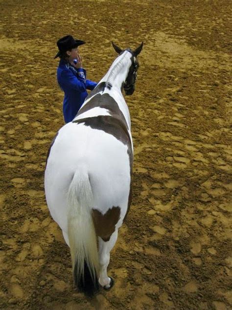 17 Photos Of Amazing Animals Born With Heart Shaped Markings | Horse heart, Animals, Horse love