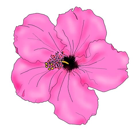 simple pink flower drawing - Clip Art Library