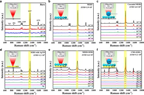 Cascaded microsphere-coupled surface-enhanced Raman spectroscopy (CMS-SERS) for ultrasensitive ...