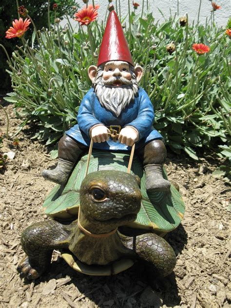 "Whoa..Slow down" | Funny garden gnomes, Gnomes, Gnome garden