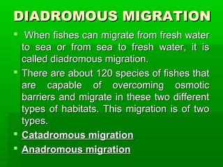 Migration in fishes | PPT