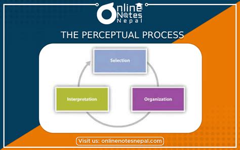 The Perceptual Process | Online Notes Nepal