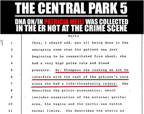 Evidence in the Central Park 5 Case Evidence Archives | Central Park 5