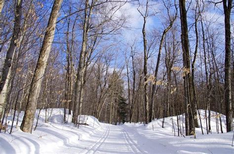 Cross-country Skiing in Gatineau Park, Quebec