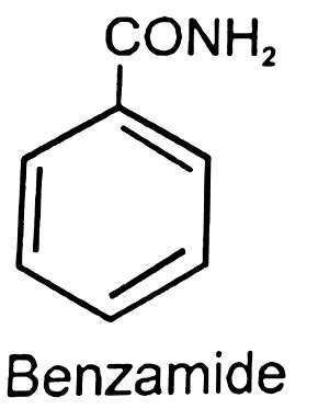 Title: Nitrogen Containing Compound (Amines)- (For CBSE, ICSE, IAS, NET ...