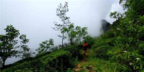 Trekking & Hiking Tours in Sri Lanka | Best of Lanka