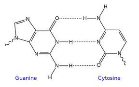 Cytosine vs. Cytidine | Definition, Structure & Function - Video ...