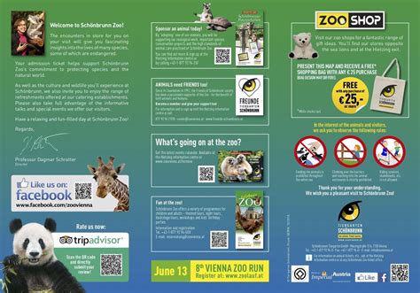 Zoo Brochure Examples - brochure background design samples