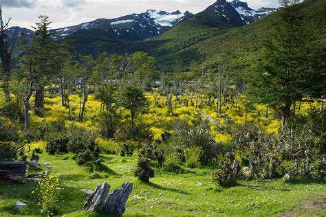 Tierra del Fuego National Park: Argentina's Southernmost Natural Wonder ...