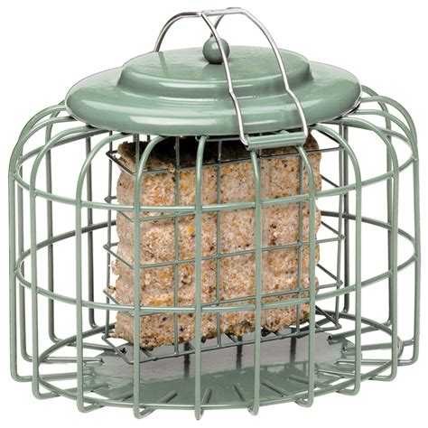 The Nuttery Oval Suet-Cake Squirrel Resistant Bird Feeder, Ocean Green ...