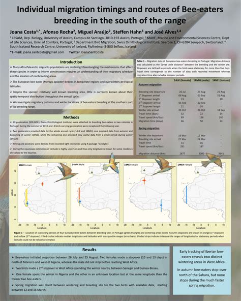 (PDF) Individual migration timings and routes of Bee-eaters breeding in the south of the range