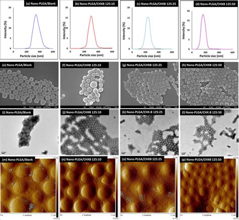 Morphological characterization of the Nano-PLGA/Blank and the ...