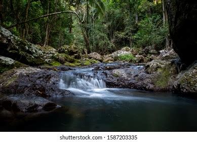 Kondalilla Falls Trail Photos, Images and Pictures