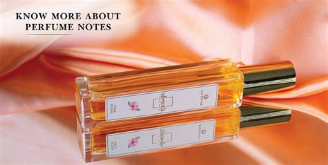 Your ultimate guide to Perfume Notes | by Luczotiq | Medium