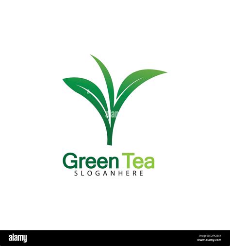 Green tea leaf logo vector icon illustration design isolated on white ...