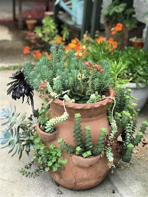 Beautiful Outdoor Succulent Planter Ideas 24 - MAGZHOUSE