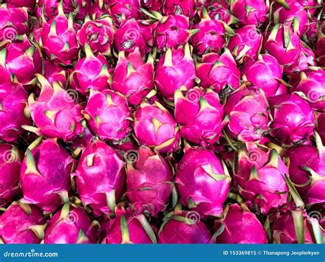 Dragon Fruit,pink Fruit,Hylocercus Undatus,sell in the Market Stock Image - Image of bright ...