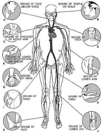 back pressure points | ... pressure points and how to correctly apply pressure at these points ...