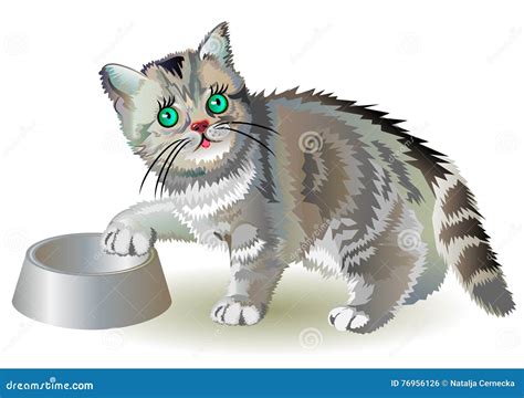 Hungry Cat Cartoon Vector | CartoonDealer.com #70333457