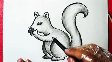 How to Draw a Squirrel || Very Easy Way to Draw and Shade || YZArts - YouTube