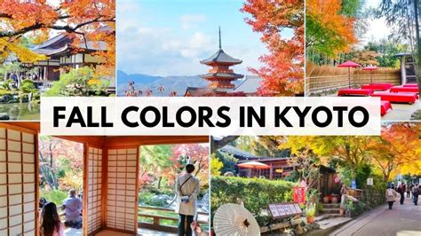 3 day Kyoto Japan fall colors autumn itinerary 🍁 Where I saw fall ...