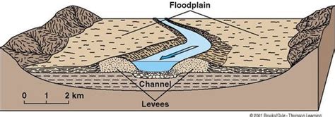 Floodplains, Levees & Estuaries - ROSSETT GEOGRAPHY DEPARTMENT