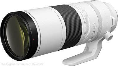 Canon RF 200-800mm F6.3-9 IS USM Lens Review