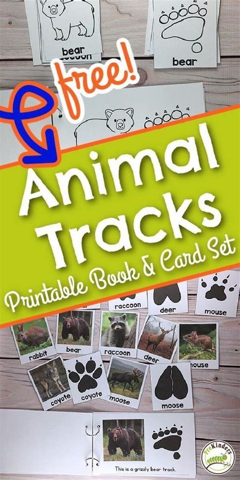 Animal tracks book – Artofit