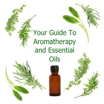 Beginning Aromatherapy Guide For Using Essential Oils