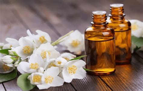 Jasmine Essential Oil: Everything You Need To Know About It