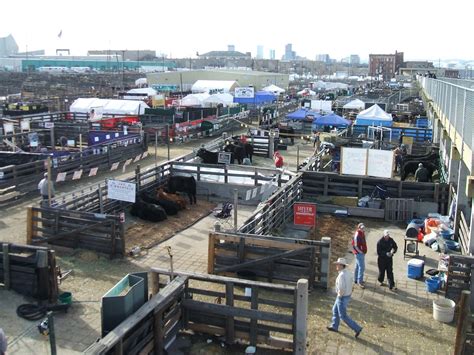 Denver Direct: Open Letter to Mayor Hancock re: Elyria, National Western Stock Show, and CSU,