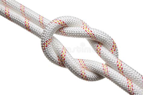 Tight reef-knot stock photo. Image of curve, bond, isolated - 27408468