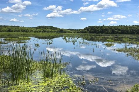 50 Million Gallons of Sewage Released into Massachusetts’ Alewife Brook in 2021 | Pumps Center