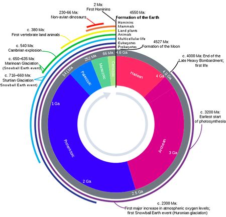 Gradualism | Definition, Theory & Examples | Study.com