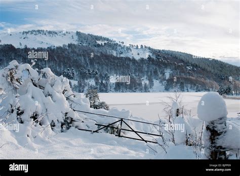 A gate deep in snow by the frozen Loch Pityoulish, Scotland Stock Photo - Alamy