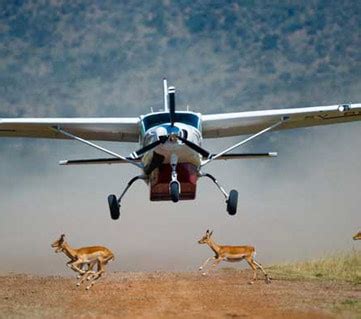 What Are The Reasons Behind The Growing Popularity Of The Tanzania Luxury Safari Packages?