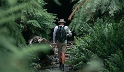 Wollemi National Park | NSW Government