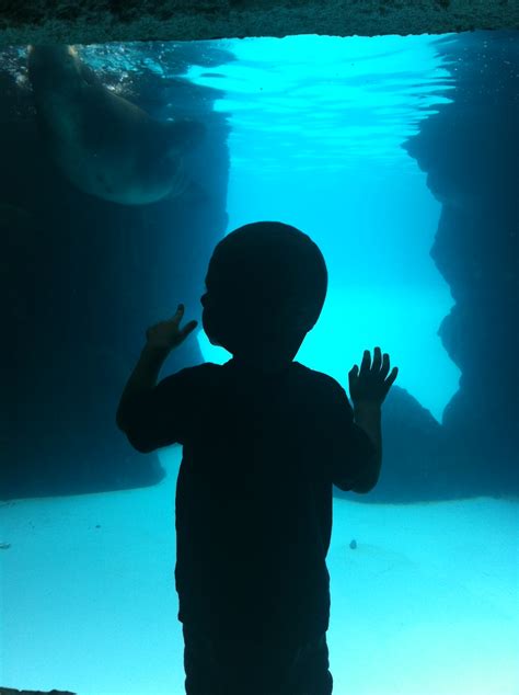 Long Island Aquarium - Frolic Through Life