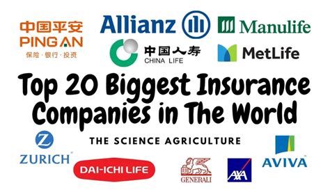 Top 10 Biggest Insurance Companies In The World | Hutomo