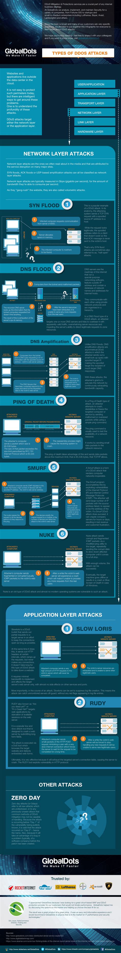 Types of DDoS Attacks Infographic