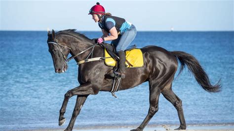 Champion jockey Damien Oliver expected to ride Godolphin Group 1 winner Kementari in $4m The ...