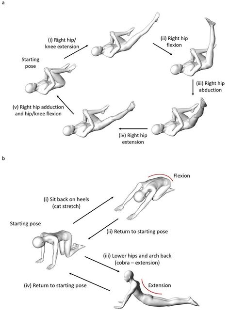 Examples of Clinical Pilates exercises for (a) Stage 2 and (b) Stage 3 ...