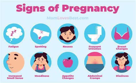 15 Early Pregnancy Symptoms & Signs - MomLovesBest