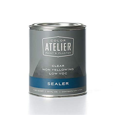 Discover the Best Plaster Sealer Paint for Your Home: A Comprehensive Guide