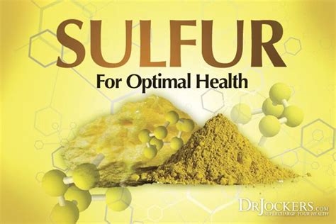 The 12 Best Food Sources of Sulfur | Metabolic diet, Toxic foods, Food source