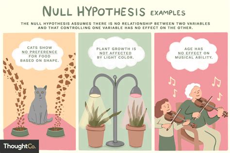 NEW Giả Thuyết Không (Null Hypothesis) Là Gì? Ví Dụ Về Giả Thuyết Không