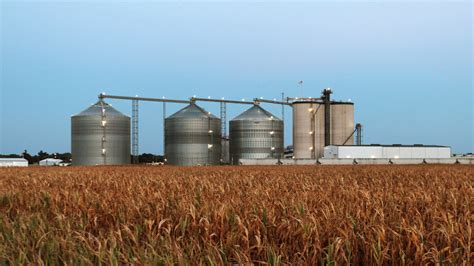 Corn ethanol, how it harms the climate and destroys the American Great Plains | LifeGate