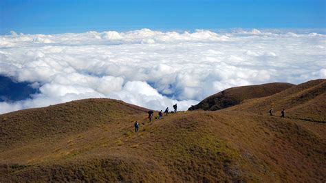 Isinara ang Akiki Trail ng Pulag dahil sa sunog sa kagubatan - Philippines Times