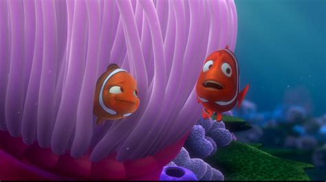 Finding Nemo - Disney Photo (33585951) - Fanpop