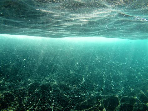 Underwater Sunlight Photograph by Christopher Johnson - Pixels